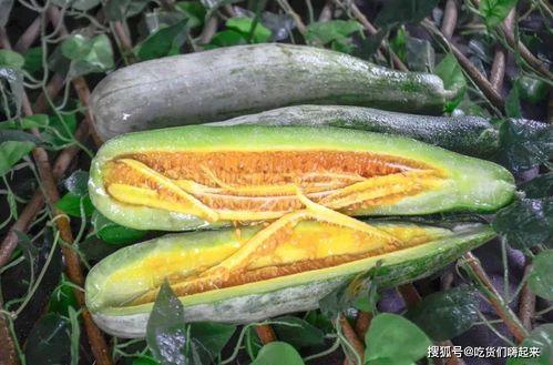 临沂吃瓜网红事件真相是真的吗,事实与谣言的较量