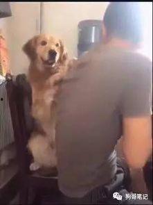 网红狗哥爆料吃瓜事件