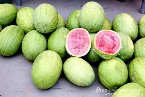 怀仁网红最新吃瓜视频,揭秘幕后真相，带你领略网络风云