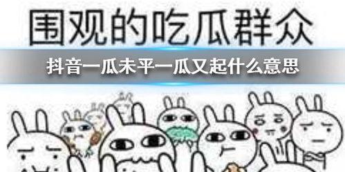 抖音吃瓜资源网,揭秘热门事件幕后真相，带你领略网络热点风云