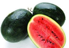 黑吃瓜料网地址,追踪网络黑产背后的秘密