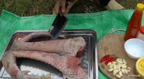 快手网红吃瓜群最新动态,揭秘娱乐圈最新热点事件