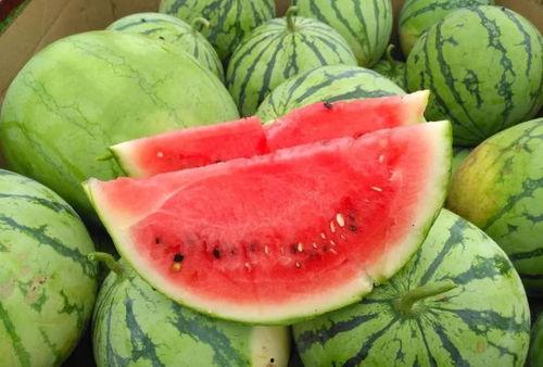 热门网红吃瓜大合集,网红吃瓜大合集，揭秘娱乐圈幕后真相