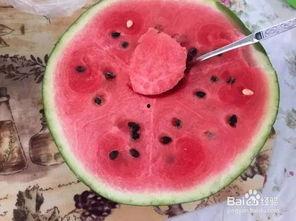 网红大勺子吃瓜视频