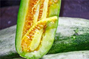 从哪里吃网红的瓜,从各大平台探寻热门八卦的诞生地