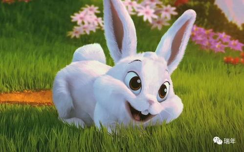 网红吃瓜兔事件最新消息,最新进展揭秘，真相大白引热议