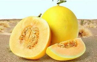 166su吃瓜网在线,揭秘娱乐圈最新热点，带你畅游八卦海洋