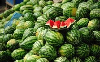 吴川网红吃瓜事件真相揭秘,揭秘背后真相与争议