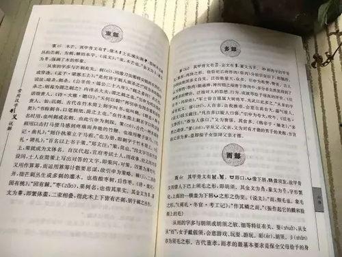 吃瓜群众的自我修养txt宝书网,宝书网吃瓜群众的自我修养精华解读