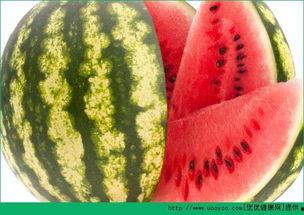 吃瓜网官网每日,揭秘娱乐圈最新热点，每日新鲜资讯汇总