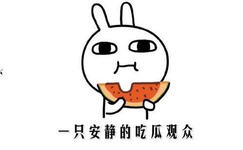 吃瓜网今日吃瓜热门吃瓜在线观看,吃瓜网“吃瓜在线观看”带你一网打尽娱乐圈新鲜事