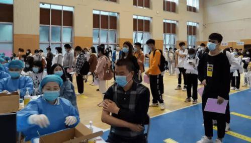 石家庄吃瓜网最新消息疫情,吃瓜网揭秘病毒防控进展