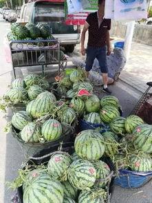 武穴网红事件吃瓜,揭秘网络舆论的风暴与真相