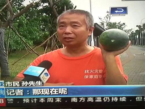 网曝热门体育吃瓜事件