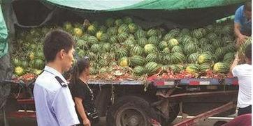 福山网红吃瓜事件视频,揭秘背后真相与网络舆论风暴