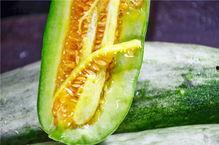 网红瓜都在哪里吃的啊,揭秘瓜界热门美食聚集地