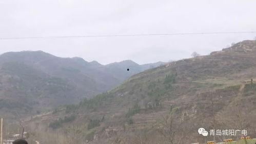 成县的吃瓜网红都有谁呀